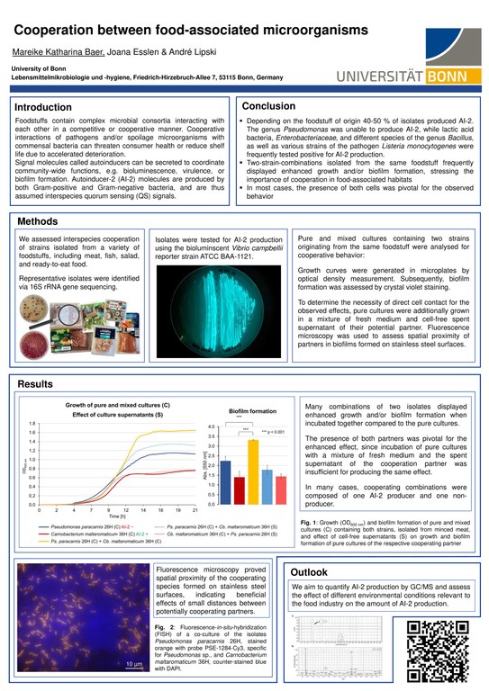 Handout Mareike Baer.pdf