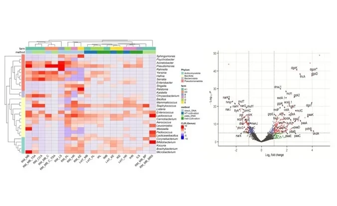 Bioinformatics