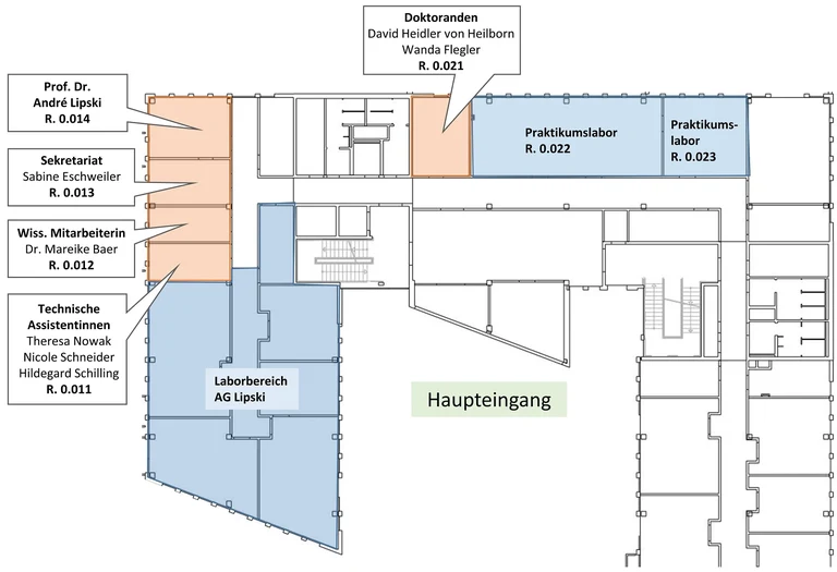 Grundriss EG Friedrich-Hirzebruch-Allee 7